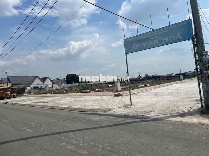 Bán đất có sổ Bình Chánh mặt tiền Hoàng Phan Thái 12x20m còn TL