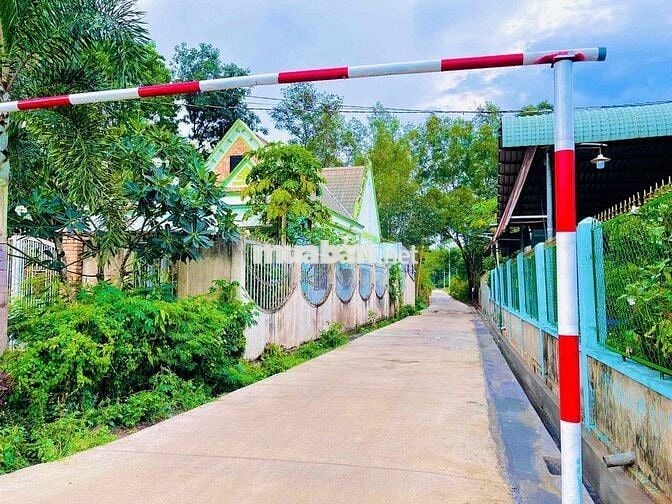 BÁN ĐẤT FULL THỔ CƯ - CÁCH SÂN BAY LONG THÀNH 2km