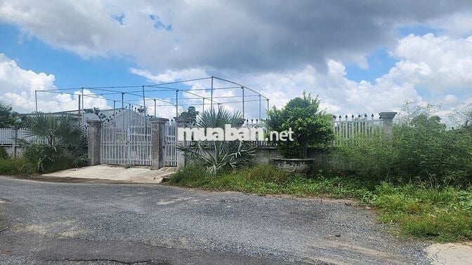 Bán đất mặt tiền Khu dân cư Tắc Cá Cháy, xã An Thới Đông, Cần Giờ