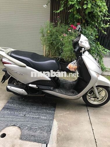 CẦN BÁN 1XE LEAD 110 CC Fi.