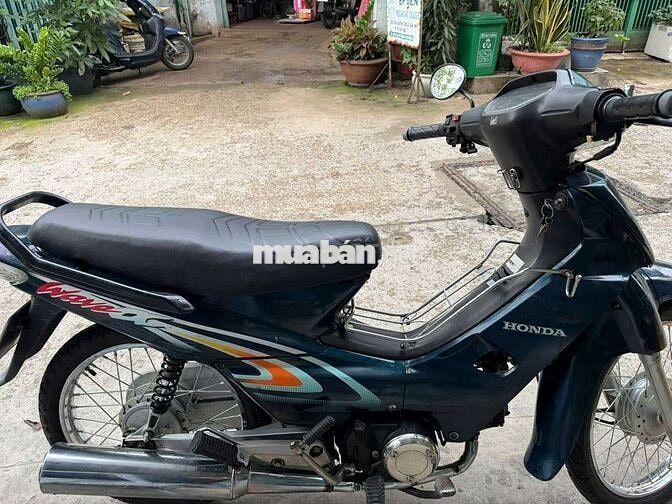 Alpha 2003 bstp chưa rớt đầu