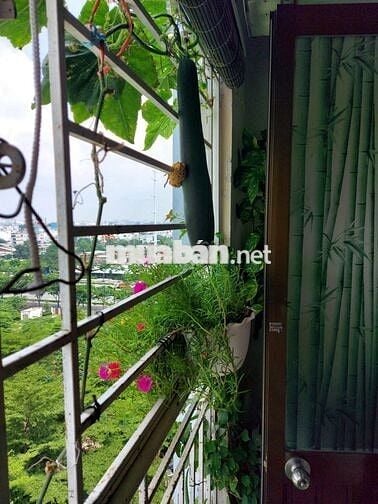 Ann cần share nguyên tầng 1 nhà hẻm cụt giá rẻ