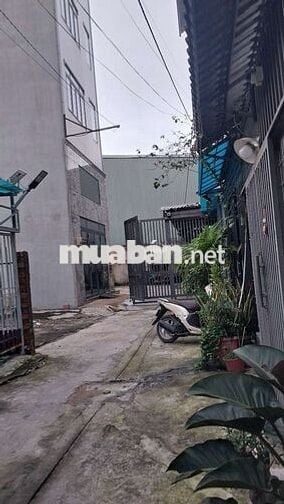 Đất đường Nguyễn Văn Yến P.TTHòa 5.3x9= 52 m2 5tỷ 500 hẻm 5m