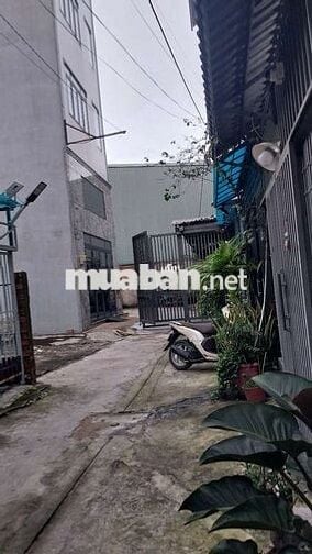 Đất đường Nguyễn Văn Yến P.TTHòa 5.3x9= 52 m2 5tỷ 500 hẻm 5m