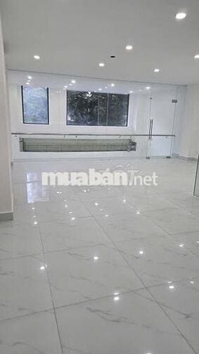 Cho thuê nhà mặt tiền đường Gò Dầu, dt 7x20 trệt lửng 4 lầu