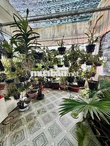 NHÀ MẶT TIỀN KINH DOANH - CÁCH MẶT TIỀN - ĐƯỜNG BÌNH PHÚ Q6 CHỈ 20M