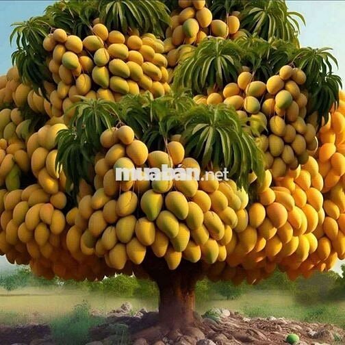 Cho thuê kho xưởng đường nguyễn ảnh thủ. Phường HT.Quận 12