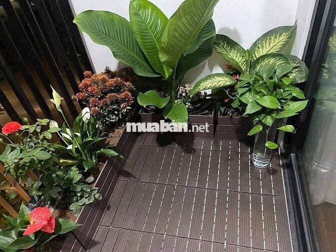 Mình bán vội vàng căn 3PN2WC ngay nhà ga Metro Suối Tiên nhé, 2ty750