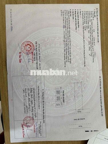 Bán nhà mặt tiền khu phố chiêu liêu Dĩ An