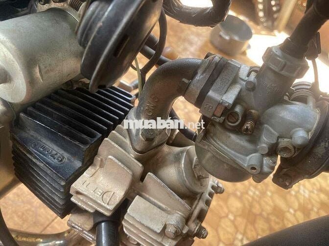 bán dream thái đời 1996