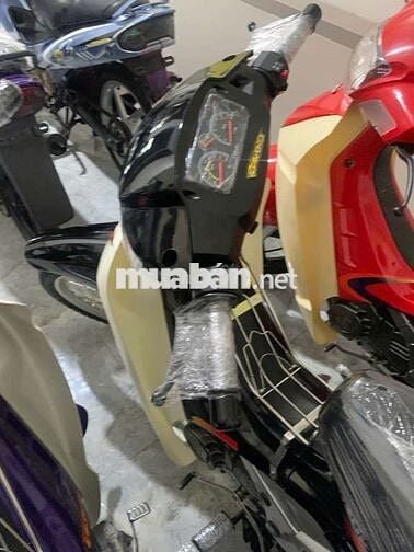 Xipo yaz giá 1x 2x cho ae trải nghiệm