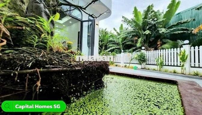 CHỦ CẦN BÁN NHÀ VƯỜN ĐẸP ĐƯỜNG HOÀN PHAN THÁI - BÌNH CHÁNH - HCM