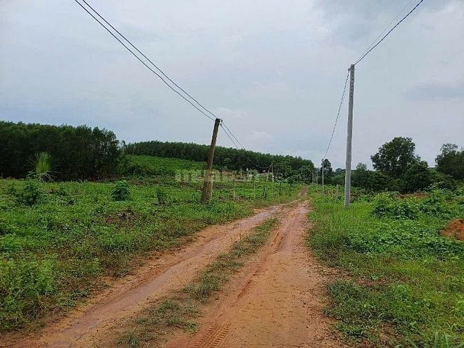 Làm Nhà máy, Lên đất ở gần Tp.HCM, gần Sân bay Long Thành-Cao tốc LTDG