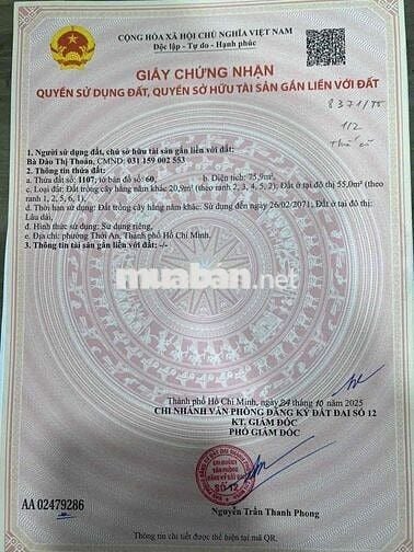 76m2 đường xe hơi xây biệt thự Mini quá đẹp