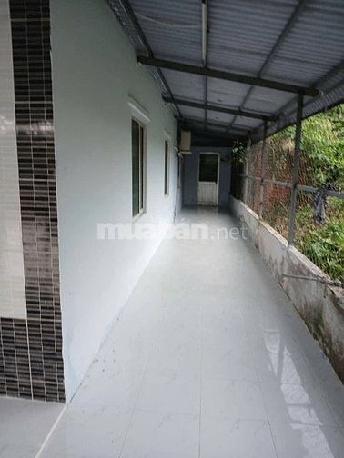 Siêu Phẩm Nhà Cấp 4 Cần Bán Gấp Căn Bình Chánh - Sổ Hồng Riêng