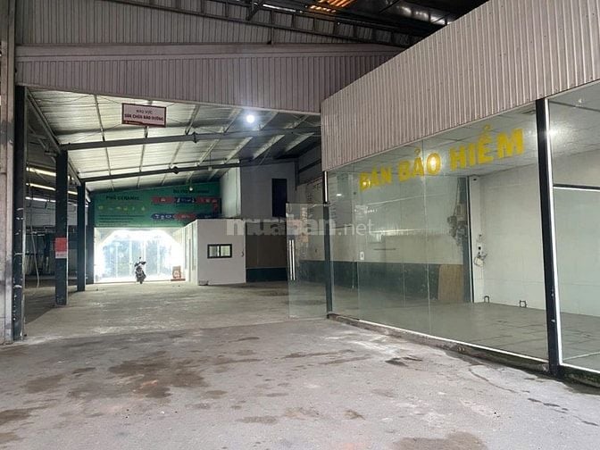 Cho Thuê Nhà Mặt Tiền Tỉnh Lộ 8, Bình Mỹ, Củ Chi, Giá Tốt