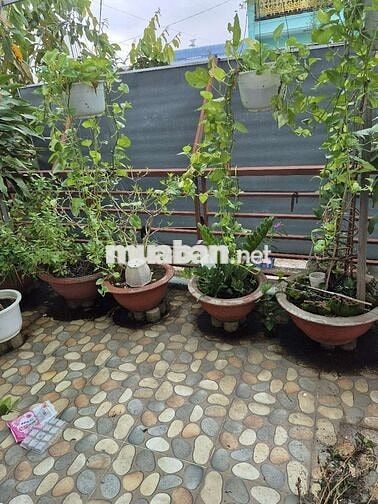 Bán nhà về quê 90m, 4 tầng, đường phan văn đối đi vào 300m bà điểm