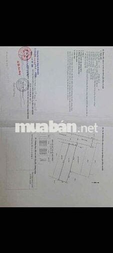 Hàng VIP cho khách xây chdv. siêu phẩm thang máy.