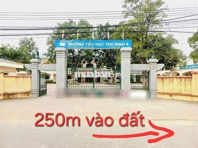 Đầu Tư Đất Sóc Sơn – Lời Trước Khi Kịp Nghỉ - Tân Minh- Sóc Sơn Đầu Tư Đất Sóc Sơn – Lời Trước Khi Kịp Nghỉ - Tân Minh- Sóc Sơn