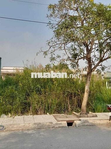 🚗 2 mặt tiền: Mặt trước ~5m, mặt sau hẻm 2m – thoáng mát, thuận tiện d