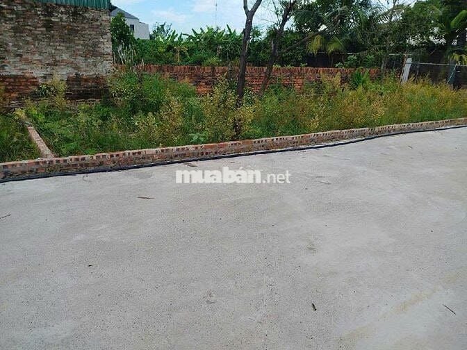 Đầu Tư Đất Sóc Sơn – Lời Trước Khi Kịp Nghỉ - Tân Minh- Sóc Sơn Đầu Tư Đất Sóc Sơn – Lời Trước Khi Kịp Nghỉ - Tân Minh- Sóc Sơn