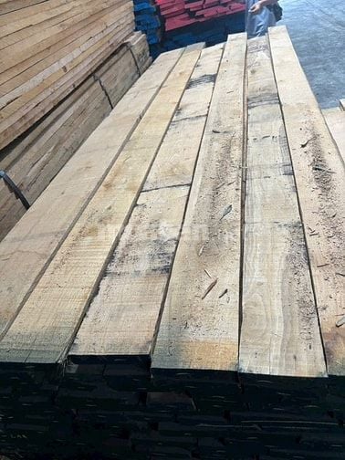 sồi trắng giá oke , chất lượng tốt
