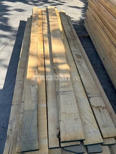 sồi trắng giá oke , chất lượng tốt