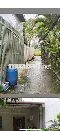 BÁN NHÀ CŨ CẤP 4 93M2 SÔRIÊNG HẺN 3 GÁC P LÁI THIÊU K GẦN NHÀ TRỌ