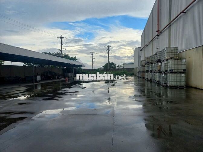 Cho thuê kho xưởng 10.000m2 CCN Bến Lức Long An ,giá thuê : 3.1 usd/m2