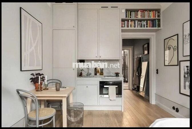 Cho thuê Căn hộ chung cư Botanica Pre Hồng Hà P2,Tân Bình,40m2 12tr/T