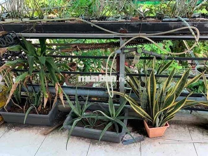 🏚️ BÁN NHÀ QUẬN 8  – XE HƠI TỚI NHÀ – GIÁ CHỈ 6.5 TỶ – S