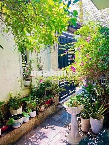 Bán BT Trung Tâm Biên Hoà Cách Võ Thị Sáu 100m! đg xe hơi 6m