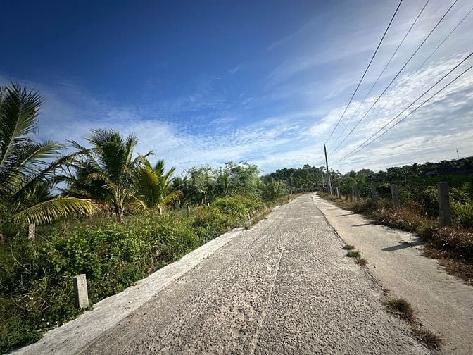 1 Ha Có 200m2 Thổ Cư Khu Dân Cư Đường Bê Tông Tân Tiến LaGi Gần Biển