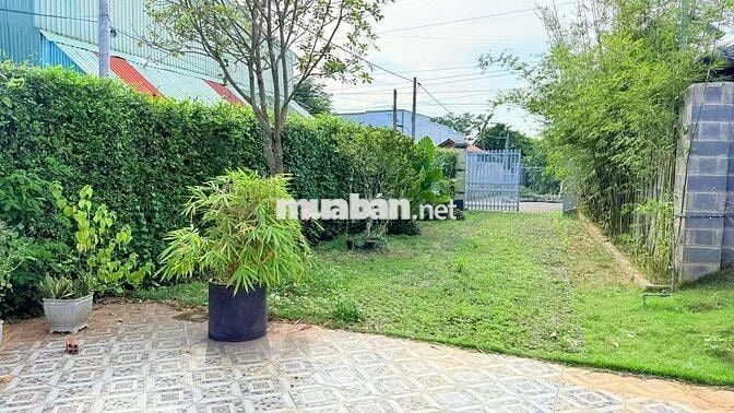 BÁN NHÀ VƯỜN MINI TRUNG TÂM THỊ TRẤN ĐẤT ĐỎ (TP.HCM)

📍