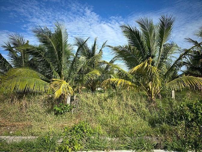 1 Ha Có 200m2 Thổ Cư Khu Dân Cư Đường Bê Tông Tân Tiến LaGi Gần Biển