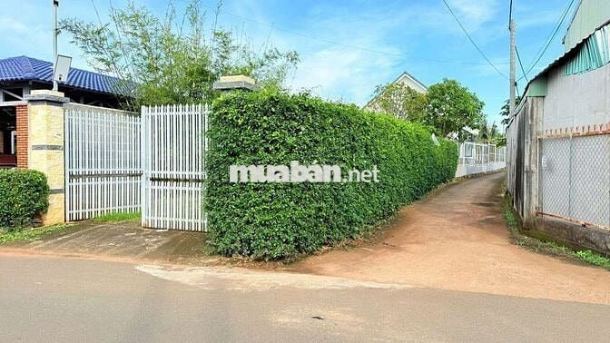 BÁN NHÀ VƯỜN MINI TRUNG TÂM THỊ TRẤN ĐẤT ĐỎ (TP.HCM)

📍