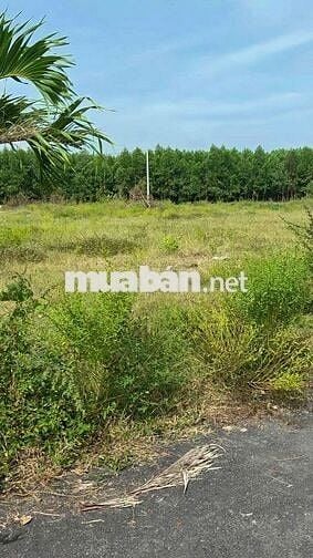 Bán đất tại Phước Hải, 1,2 tỷ, 149m2, pháp lý đầy đủ, mặt tiền rộng 6m