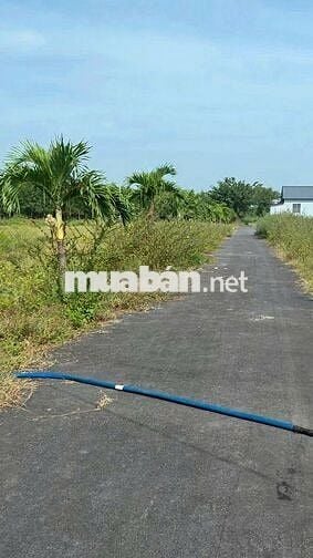 Bán đất tại Phước Hải, 1,2 tỷ, 149m2, pháp lý đầy đủ, mặt tiền rộng 6m