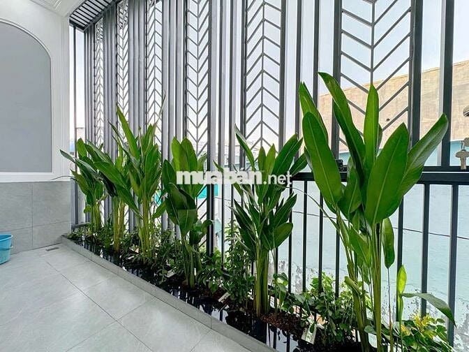 Nhà  Hoàng Trọng Mậu, Quận 7, 63m2, 2 tầng, Sổ Hồng Riêng, giá 6.3 tỷ