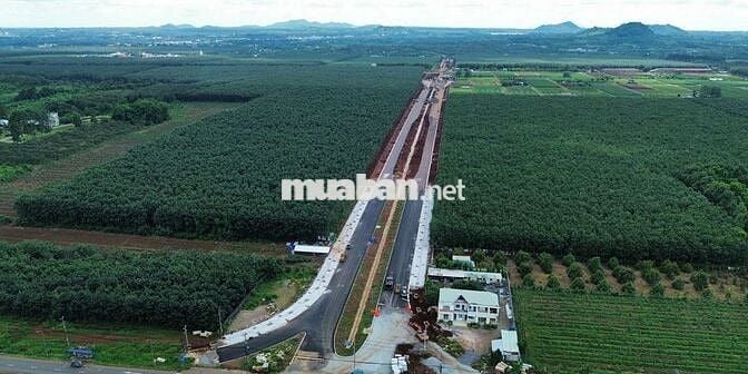 BÁN ĐẤT NGAY DỰ ÁN ĐƯỜNG DT 772