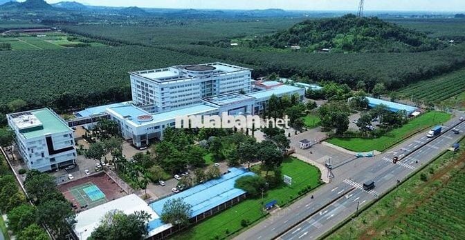 BÁN ĐẤT NGAY DỰ ÁN ĐƯỜNG DT 772