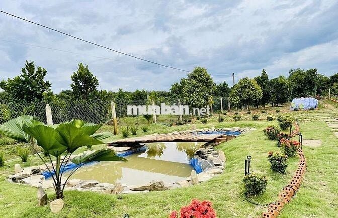 BÁN ĐẤT NGAY DỰ ÁN ĐƯỜNG DT 772