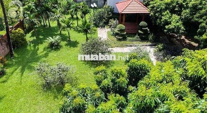 BÁN ĐẤT NGAY DỰ ÁN ĐƯỜNG DT 772