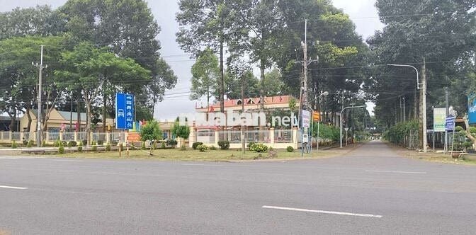 BÁN ĐẤT NGAY DỰ ÁN ĐƯỜNG DT 772