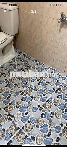 Bán Nhà Cấp 4 Hẻm Mạc Đỉnh Chi Vũng Tàu. HCM