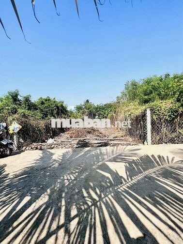 Miếng đất chính chủ tại Bến Lức, Long An, giá 780 Tr/100m2 thổ cư, shr