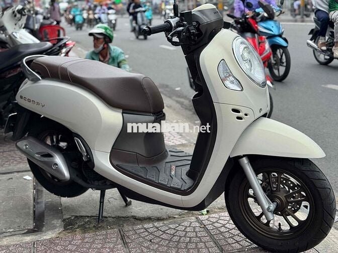 Scoopy 2024 bstp chính chủ