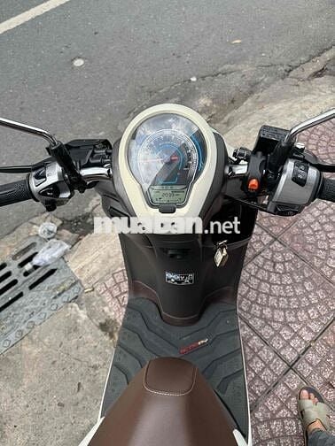 Scoopy 2024 bstp chính chủ