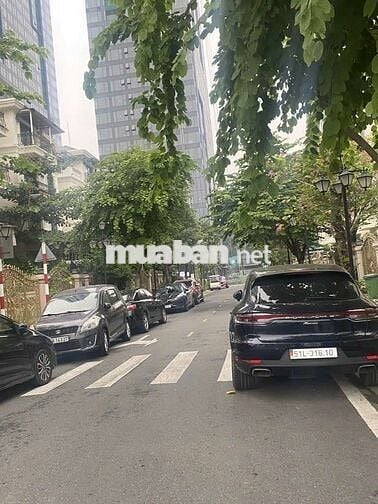 390TỶ BÁN NHÀ XÓA NỢ  BIỆT THỰ SONG LẬP & LIỀN KỀ TÔN ĐỨC THẮNG QUẬN 1