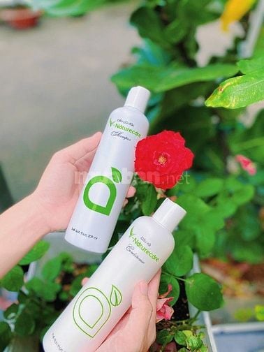 Q. 10 Nhận 5 bạn chị trí chuyên viên kinh doanh, hỗ trợ team chị